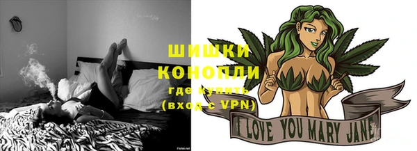 прущие грибы Беломорск