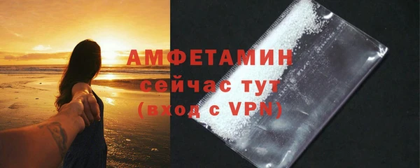 прущие грибы Беломорск