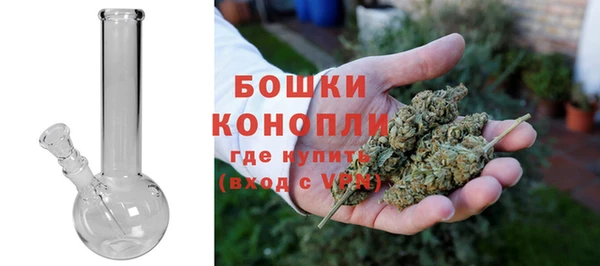 прущие грибы Беломорск