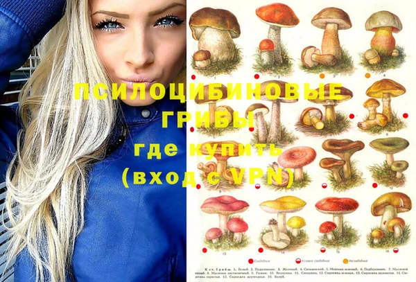 ГАЛЛЮЦИНОГЕННЫЕ ГРИБЫ Белоозёрский