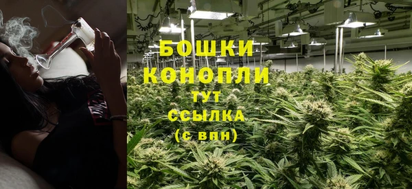 ГАЛЛЮЦИНОГЕННЫЕ ГРИБЫ Белоозёрский