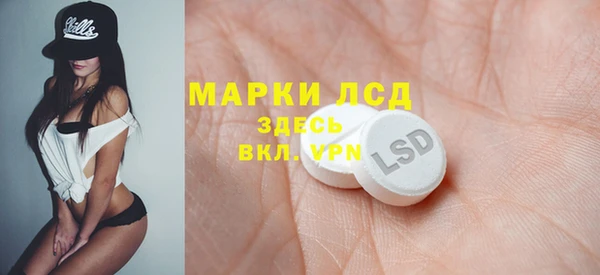 прущие грибы Беломорск