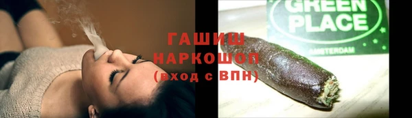 прущие грибы Беломорск