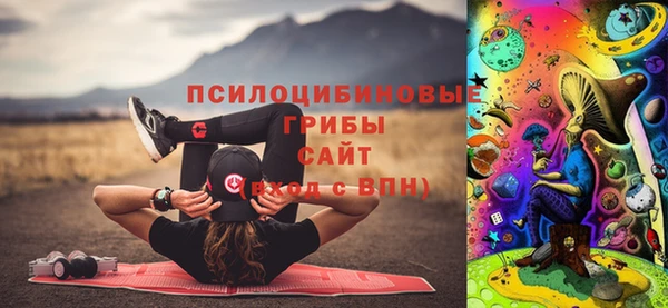 прущие грибы Беломорск