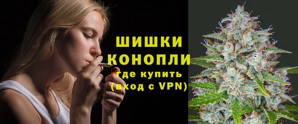 ГАЛЛЮЦИНОГЕННЫЕ ГРИБЫ Белоозёрский