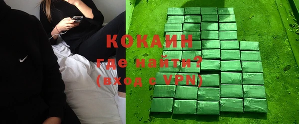 прущие грибы Беломорск