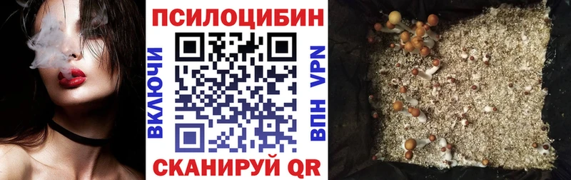 Псилоцибиновые грибы GOLDEN TEACHER  купить   Волгореченск 